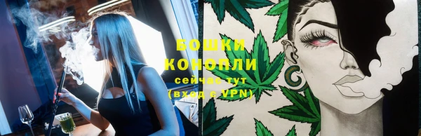 гашик Гусиноозёрск