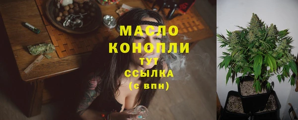 дурь Гусев