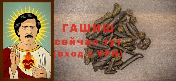 дурь Гусев