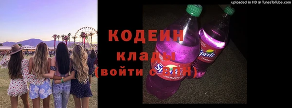 гашик Гусиноозёрск