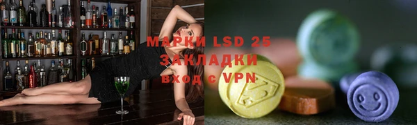 дурь Гусев
