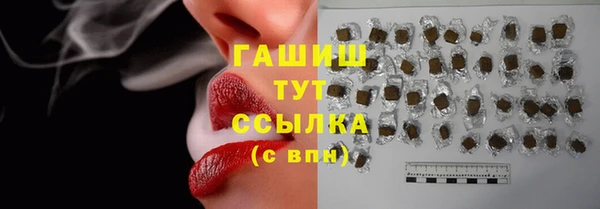 дурь Гусев