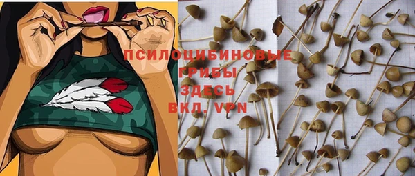 гашик Гусиноозёрск