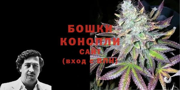 дурь Гусев