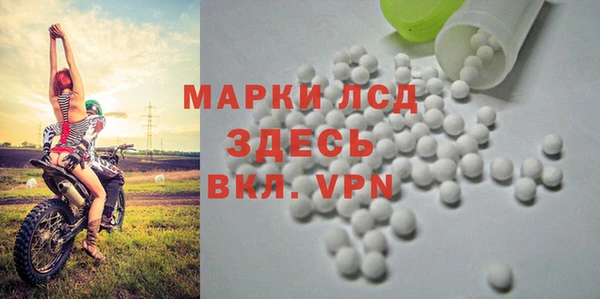 дурь Гусев