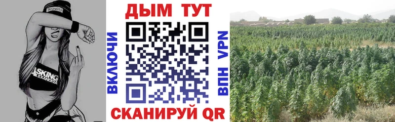 Марихуана гибрид  Купить закладки  Новый Оскол 